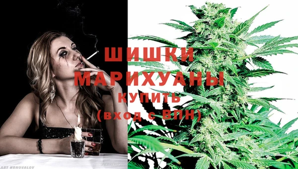 мдпв Медвежьегорск